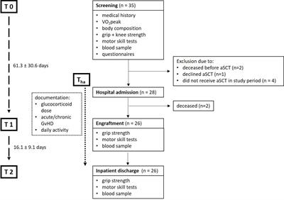 Monitoring of strength, inflammation and muscle function in allogenic stem-cell transplantation patients – a pilot study for novel biomarker and risk stratification determination